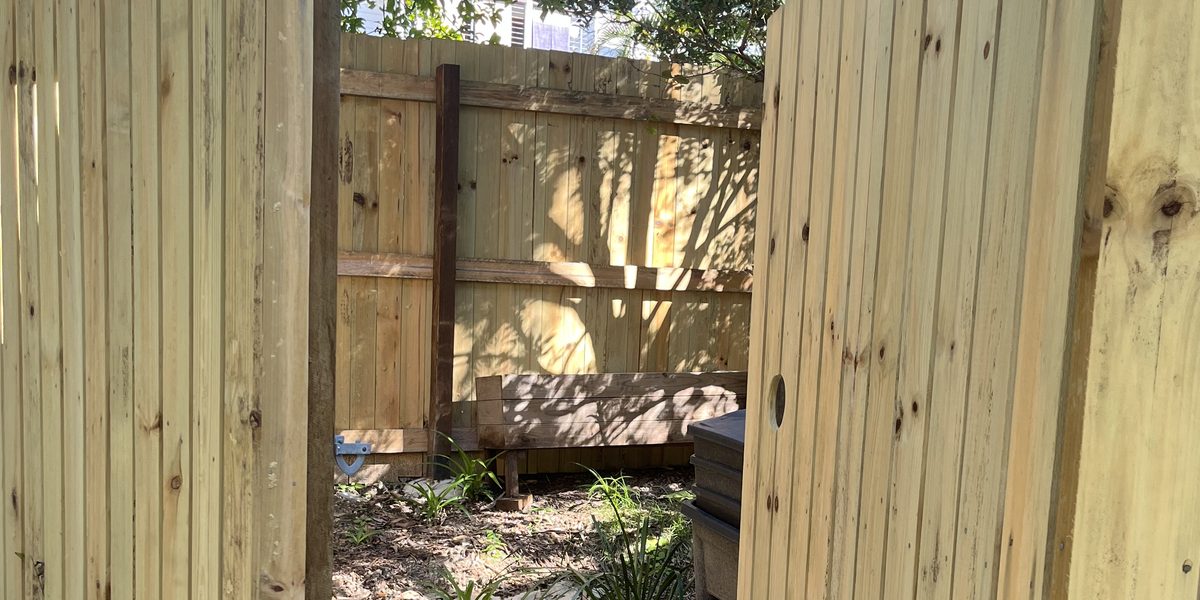 Fresh timber boundary fence and gate in natural sunlight
